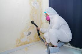 Best Biohazard Mold Removal  in Artesia, CA